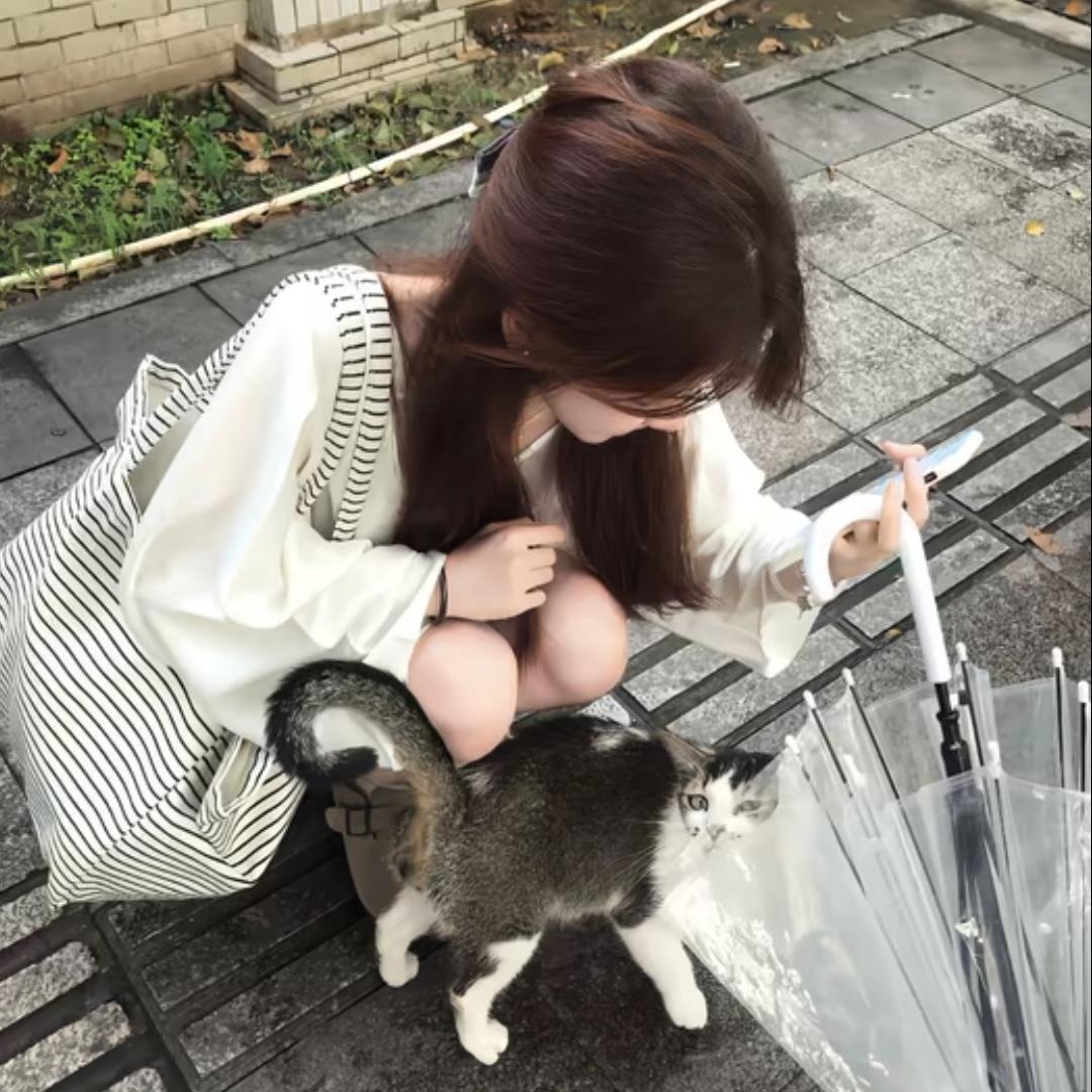 小洋淇淇