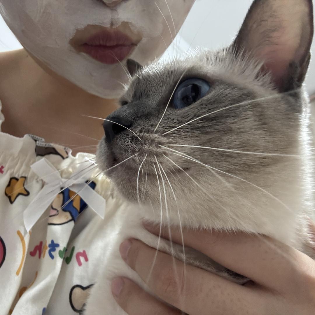 發發