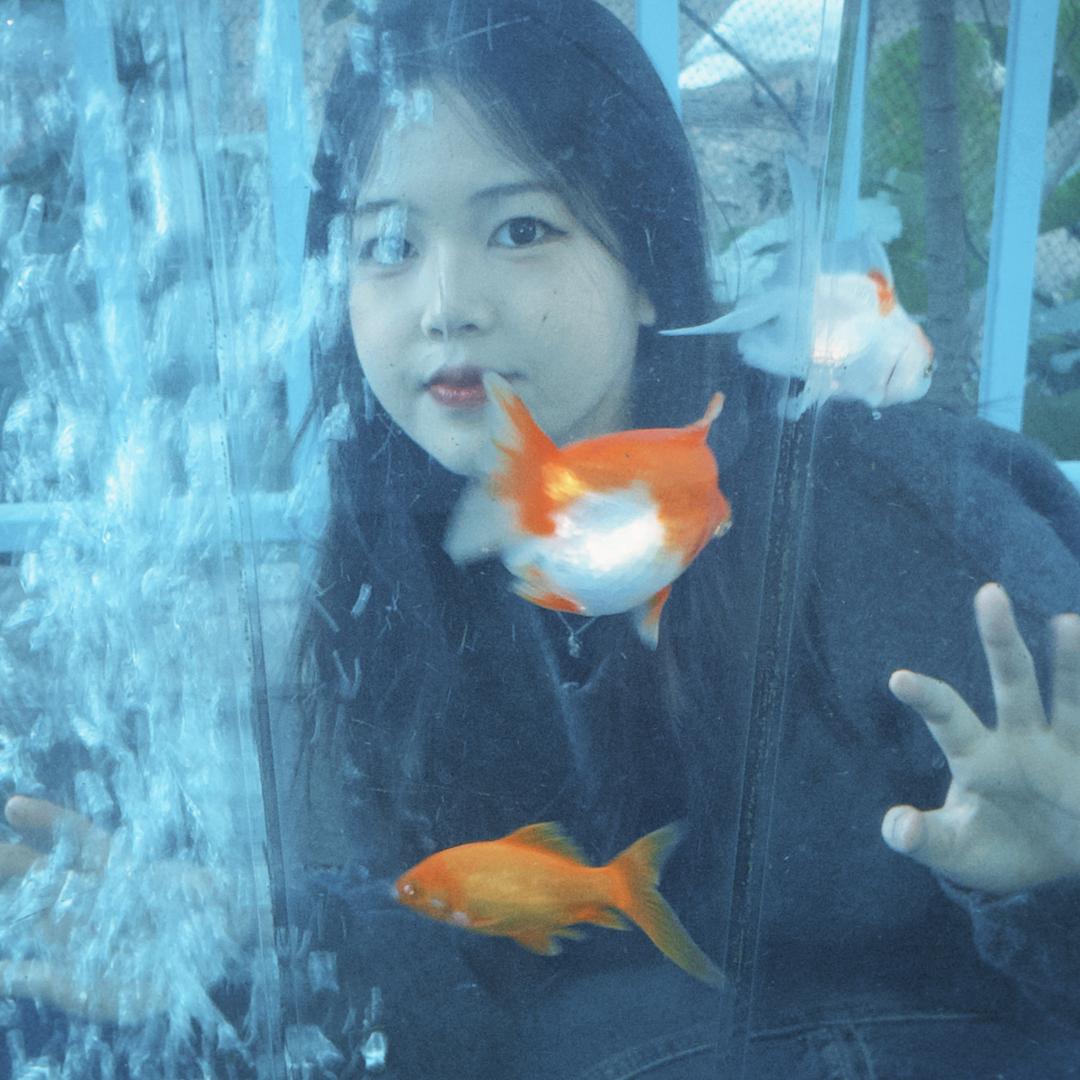 不爱吃杏仁