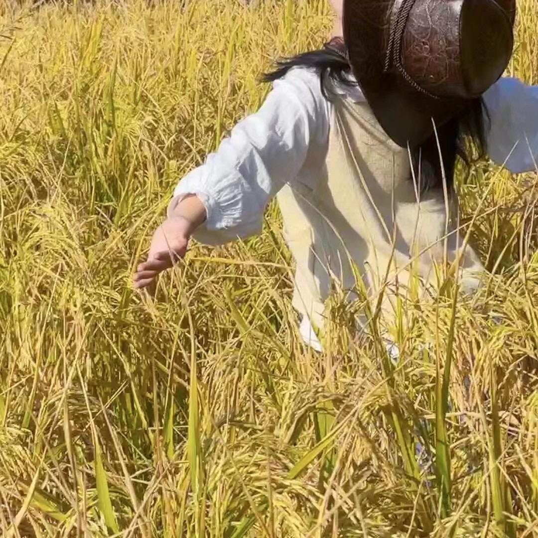 滔娜农场（富硒大米）