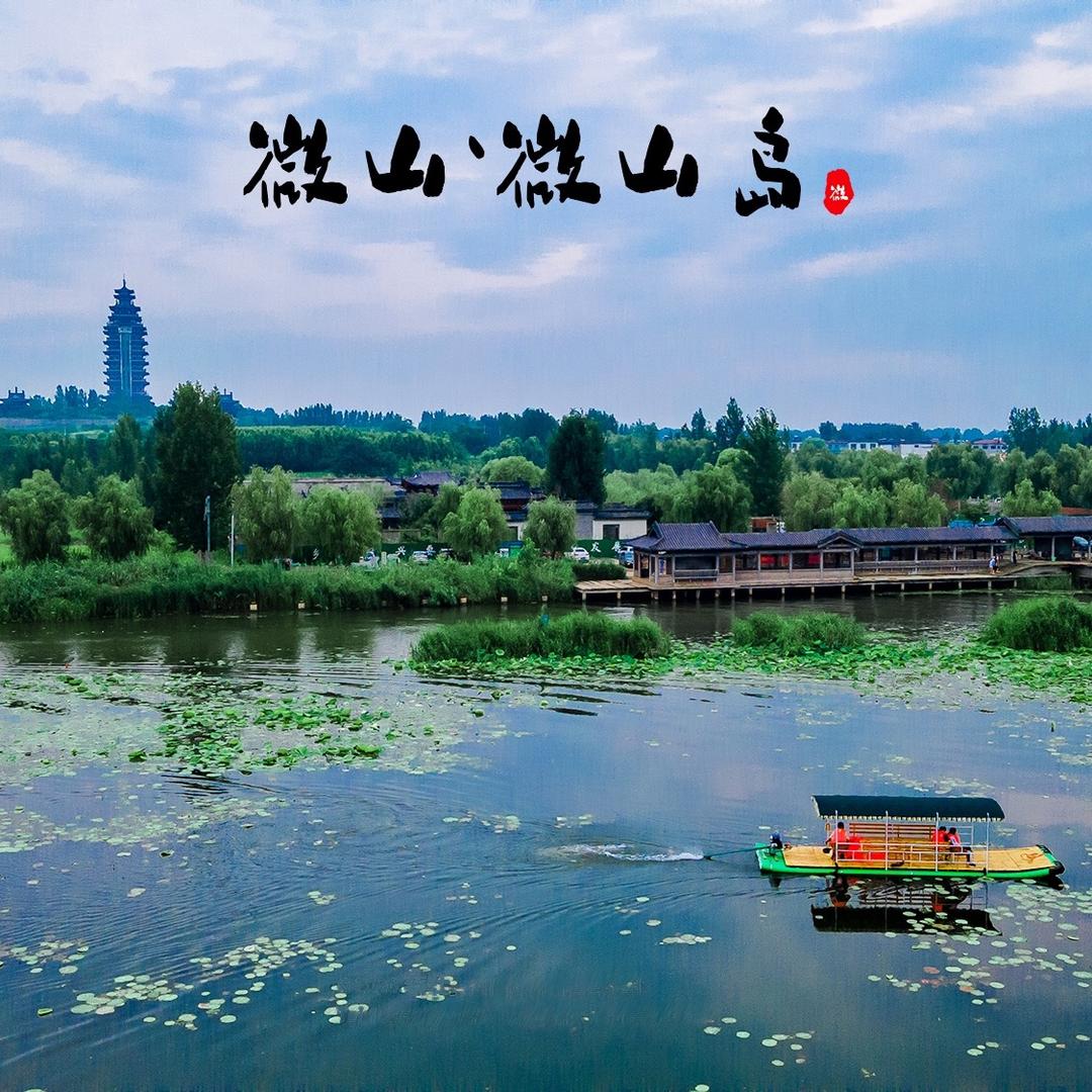 微山湖小殷船长