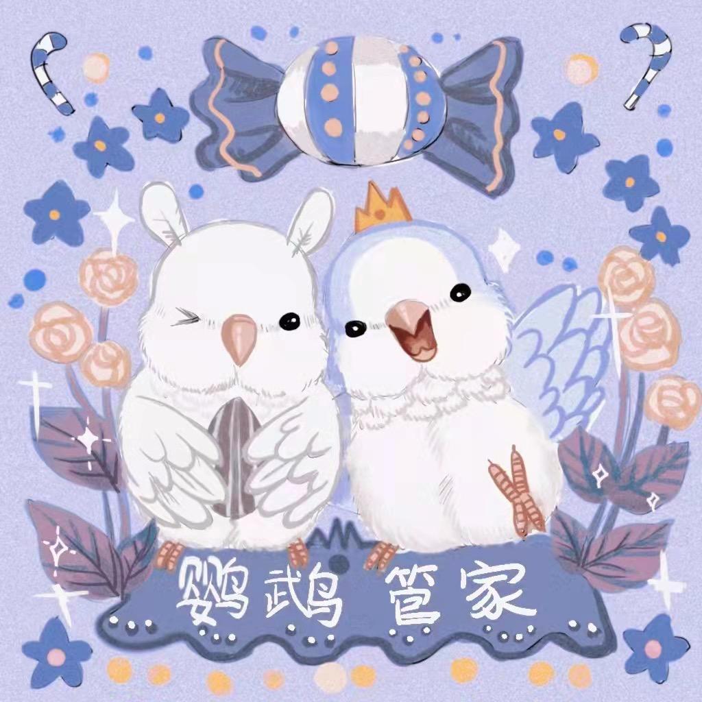 鹦鹉管家