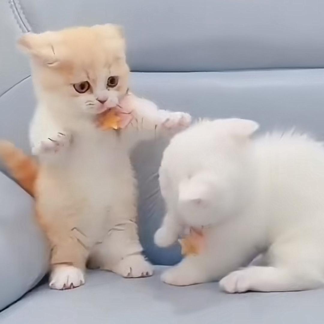 南风知我意