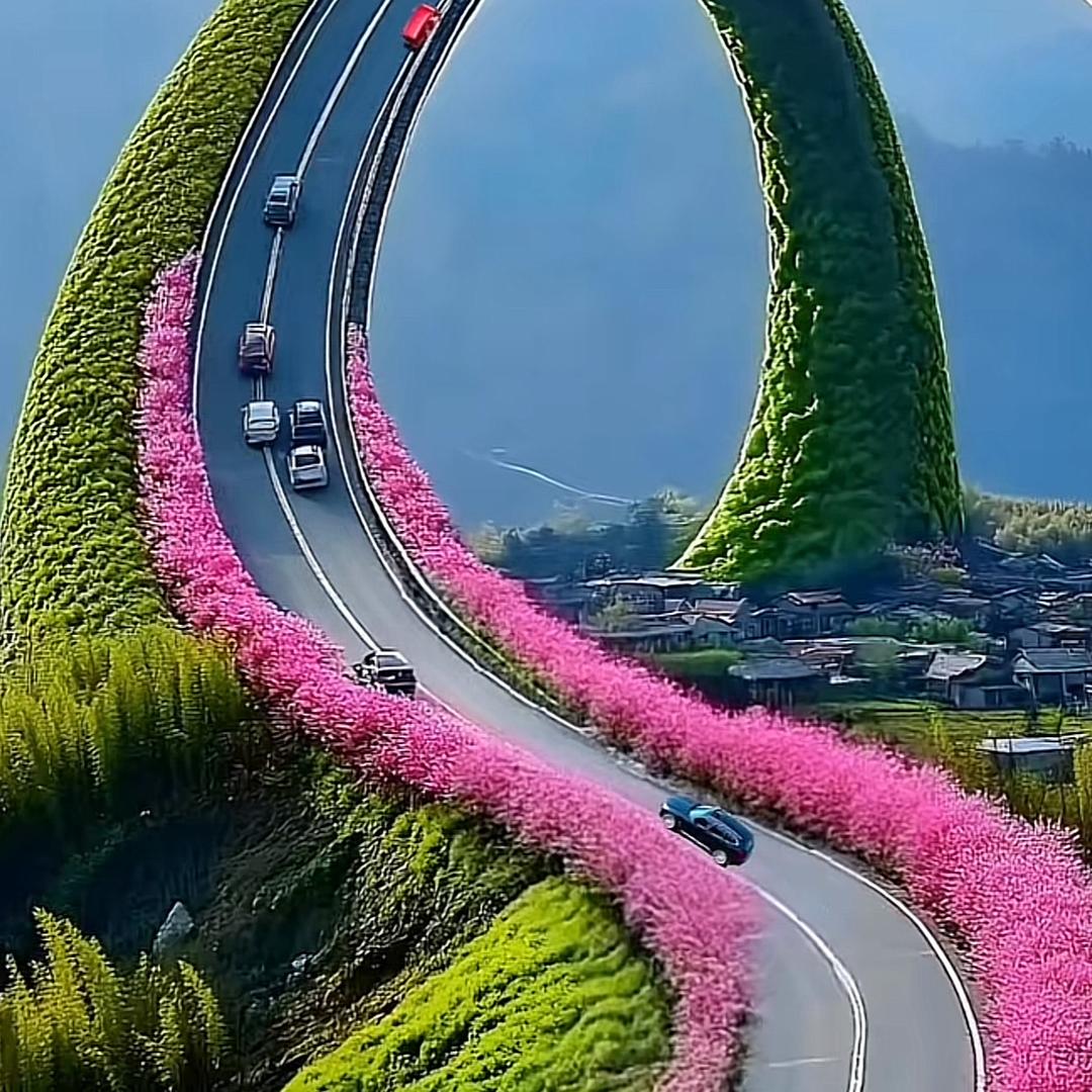 小丽