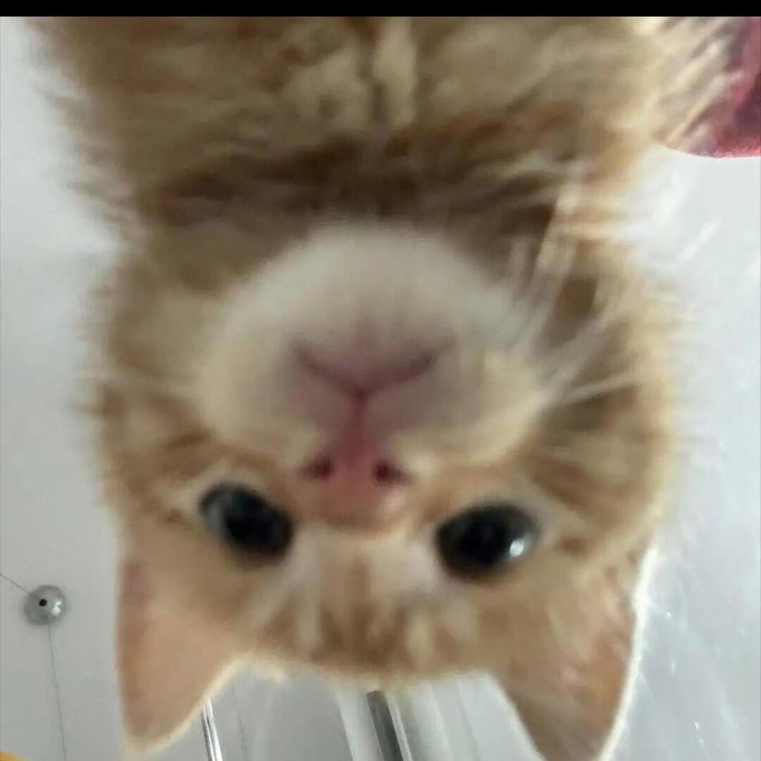 明明不是下雨天