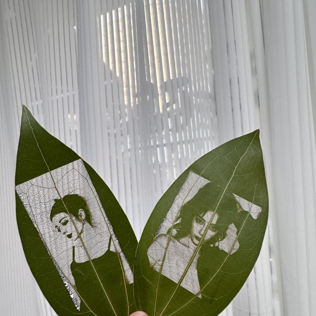 昭星树叶雕刻（私人订制）