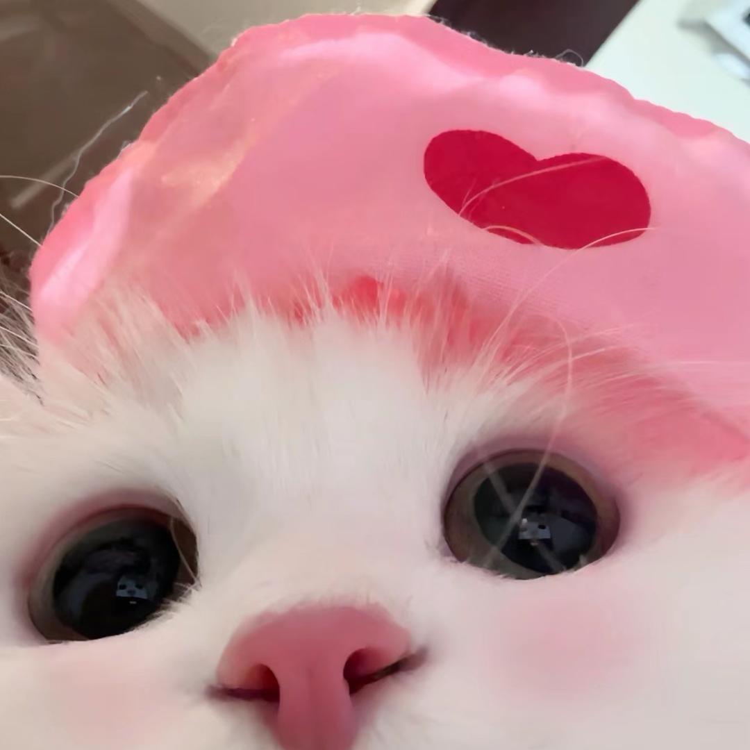 乔乔🐰