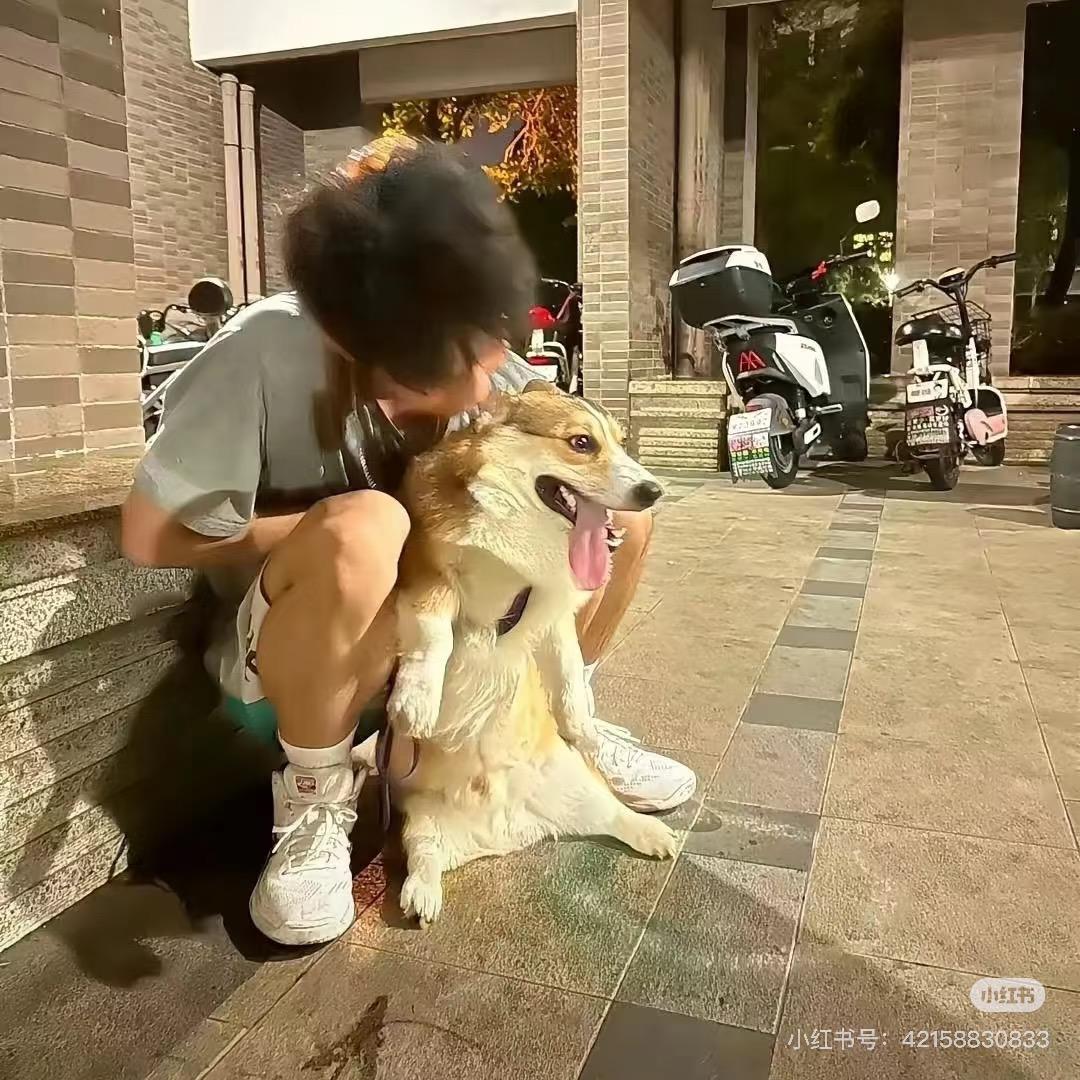 乔不乔
