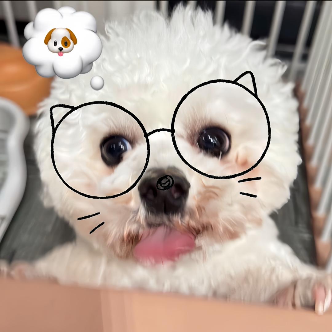 阳