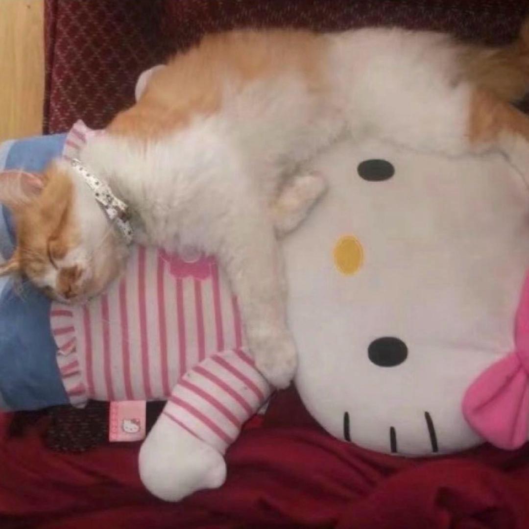 桥豆麻袋