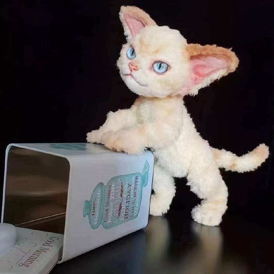 布丁是只猫