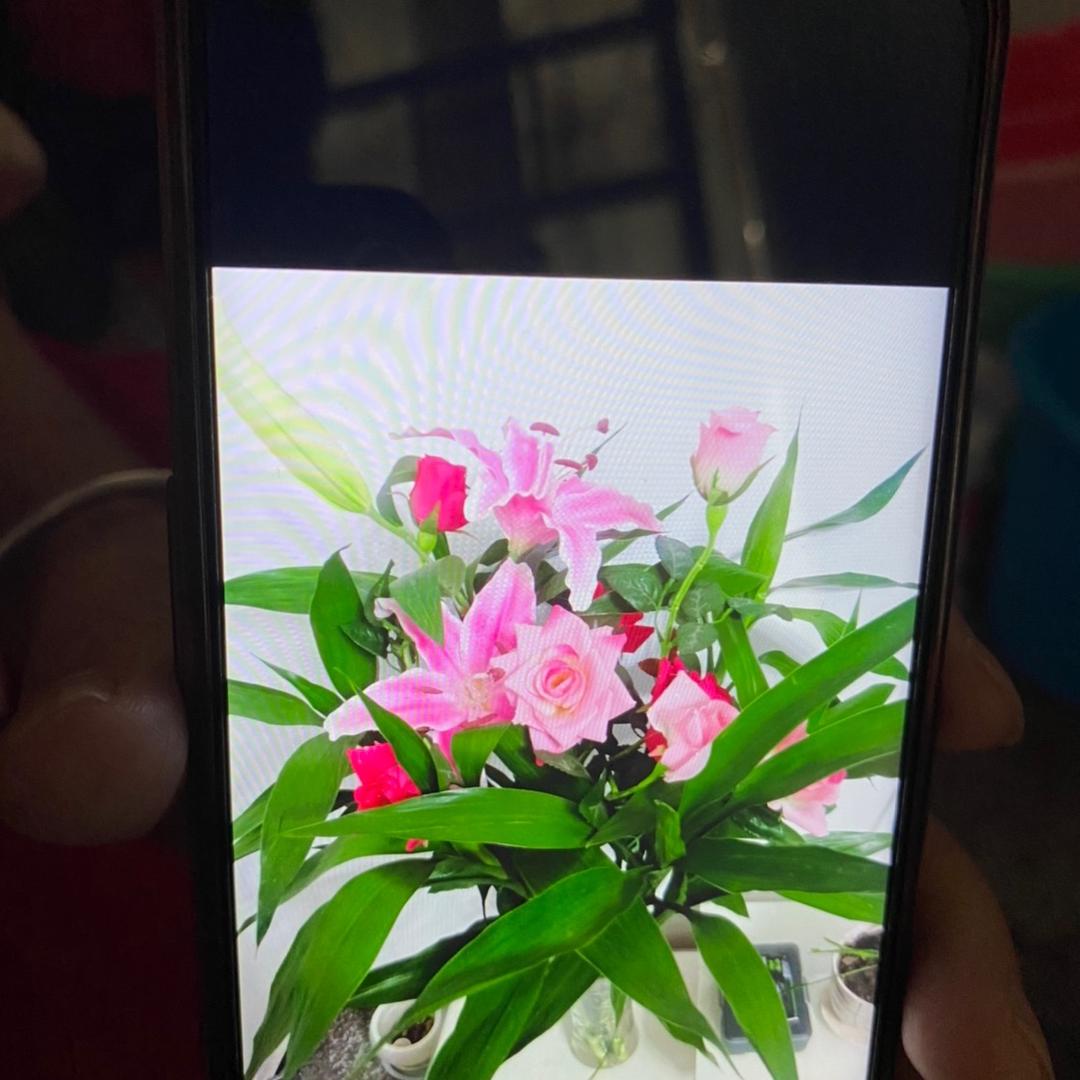 红英
