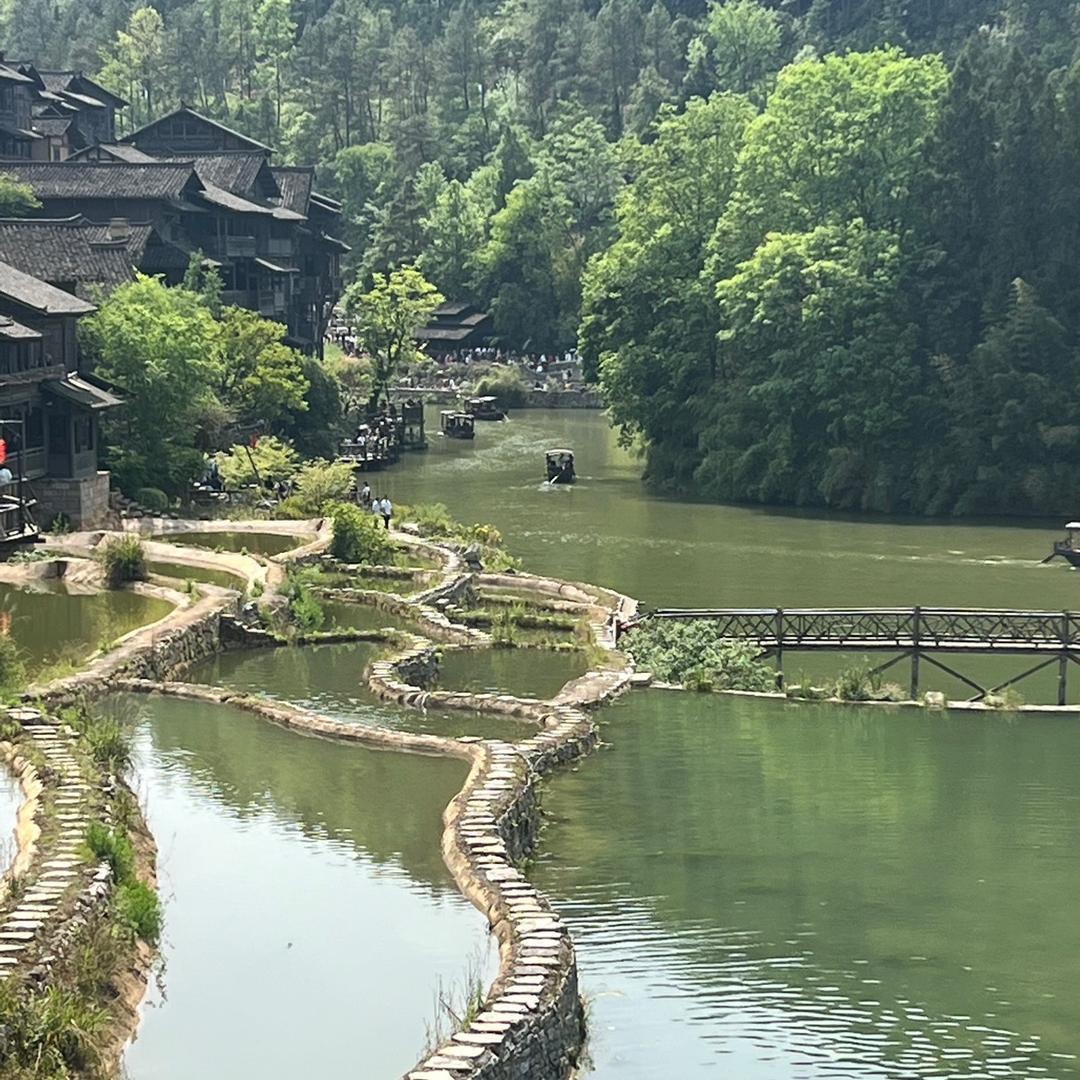 我愿分享美食
