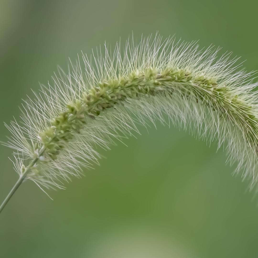 正在发送ᯤ⁵ᴳ ༽╲  🐜 🪳