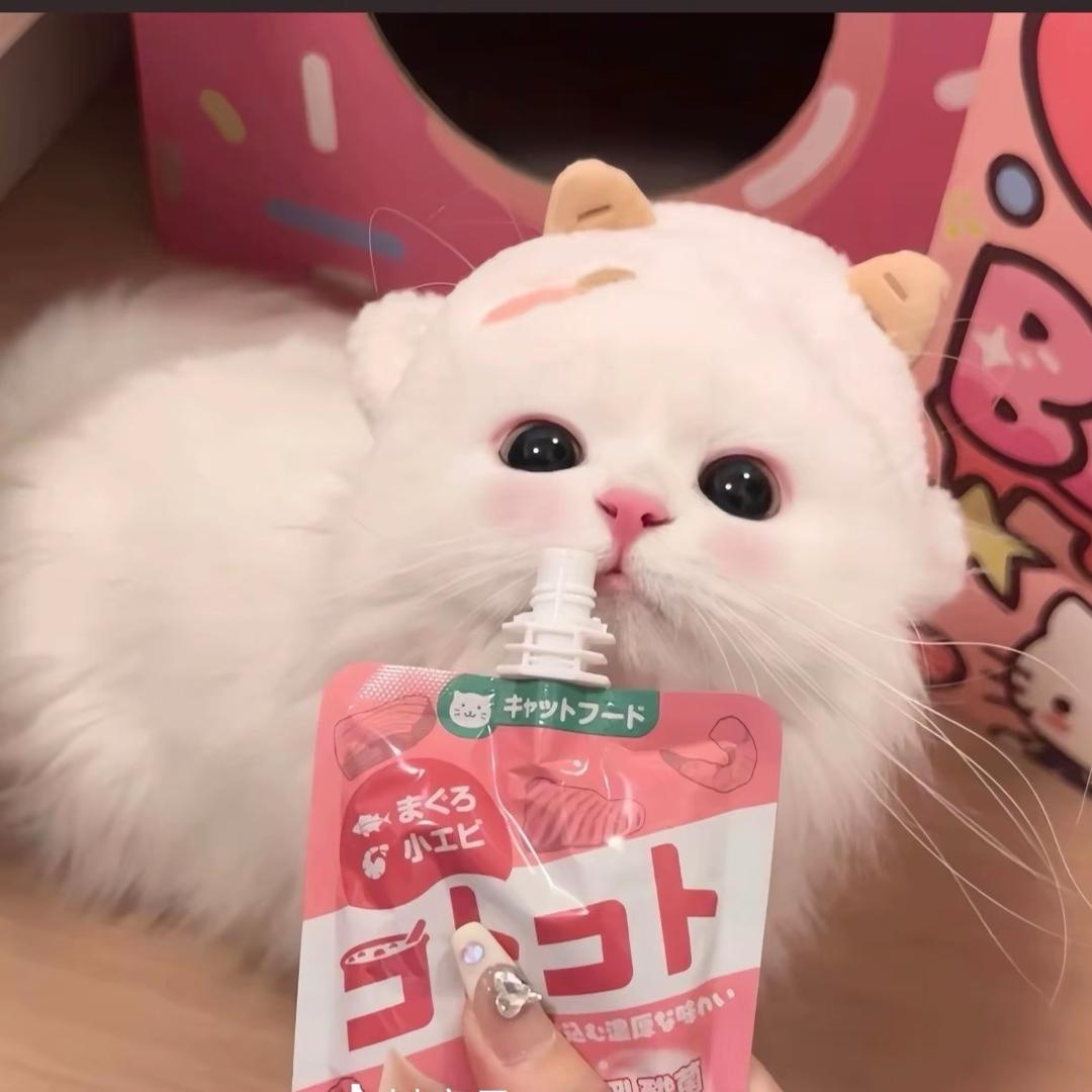 池娆