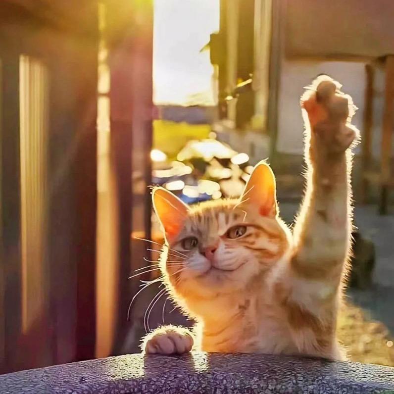 大不疯颠乌拉玛莎琪