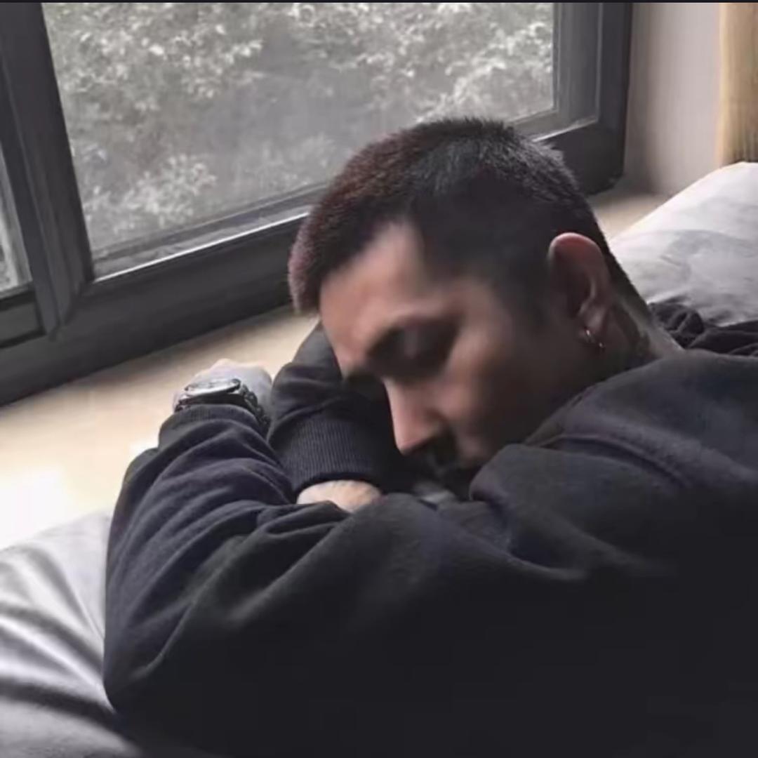 相逢何必曾相识.