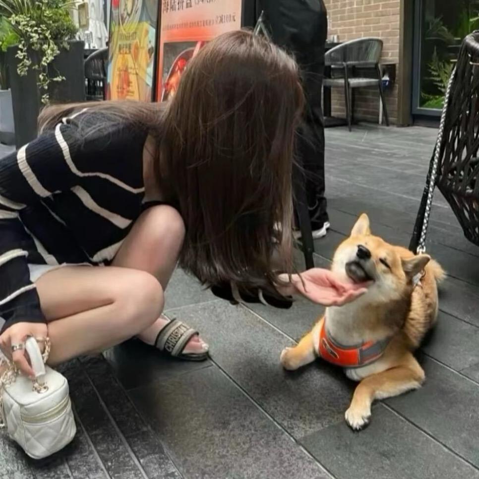 咩咩^