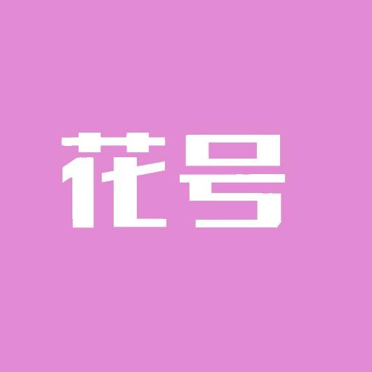 花号高速吹风机企业店