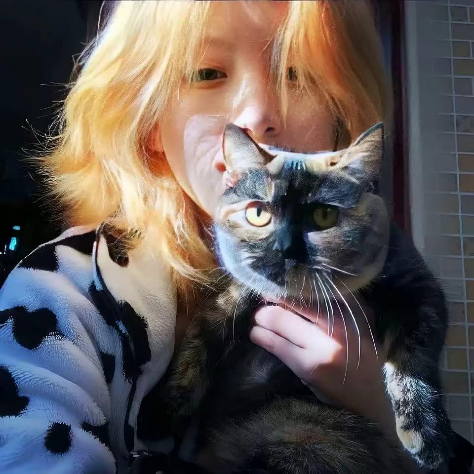 茶儿