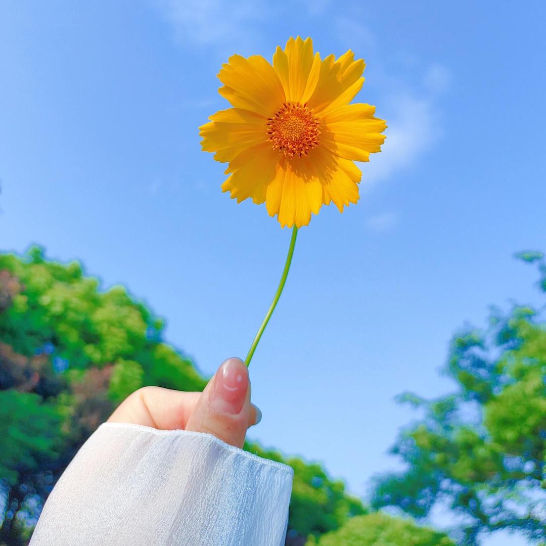 37°C电焊网•烟道网