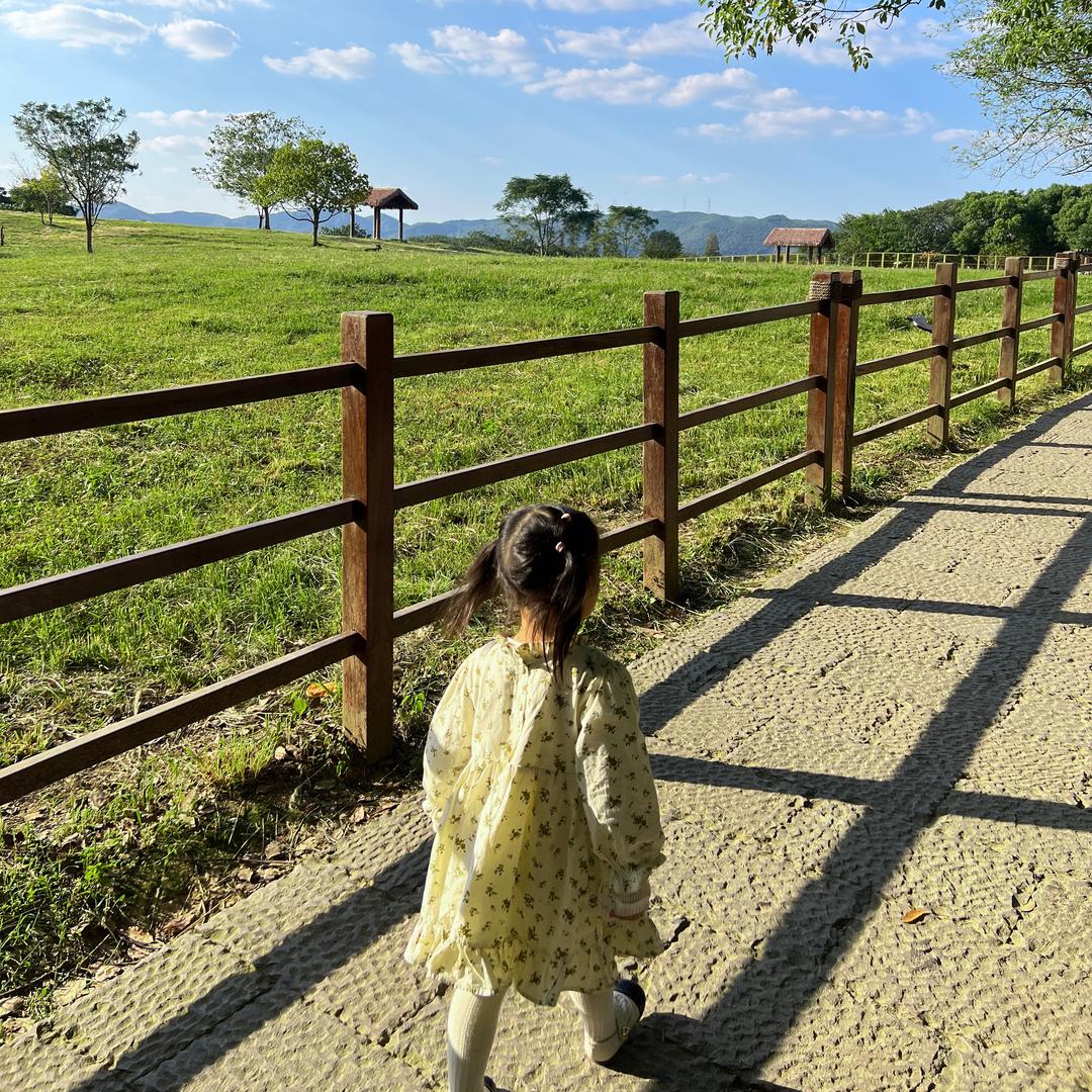 椰椰子🥥