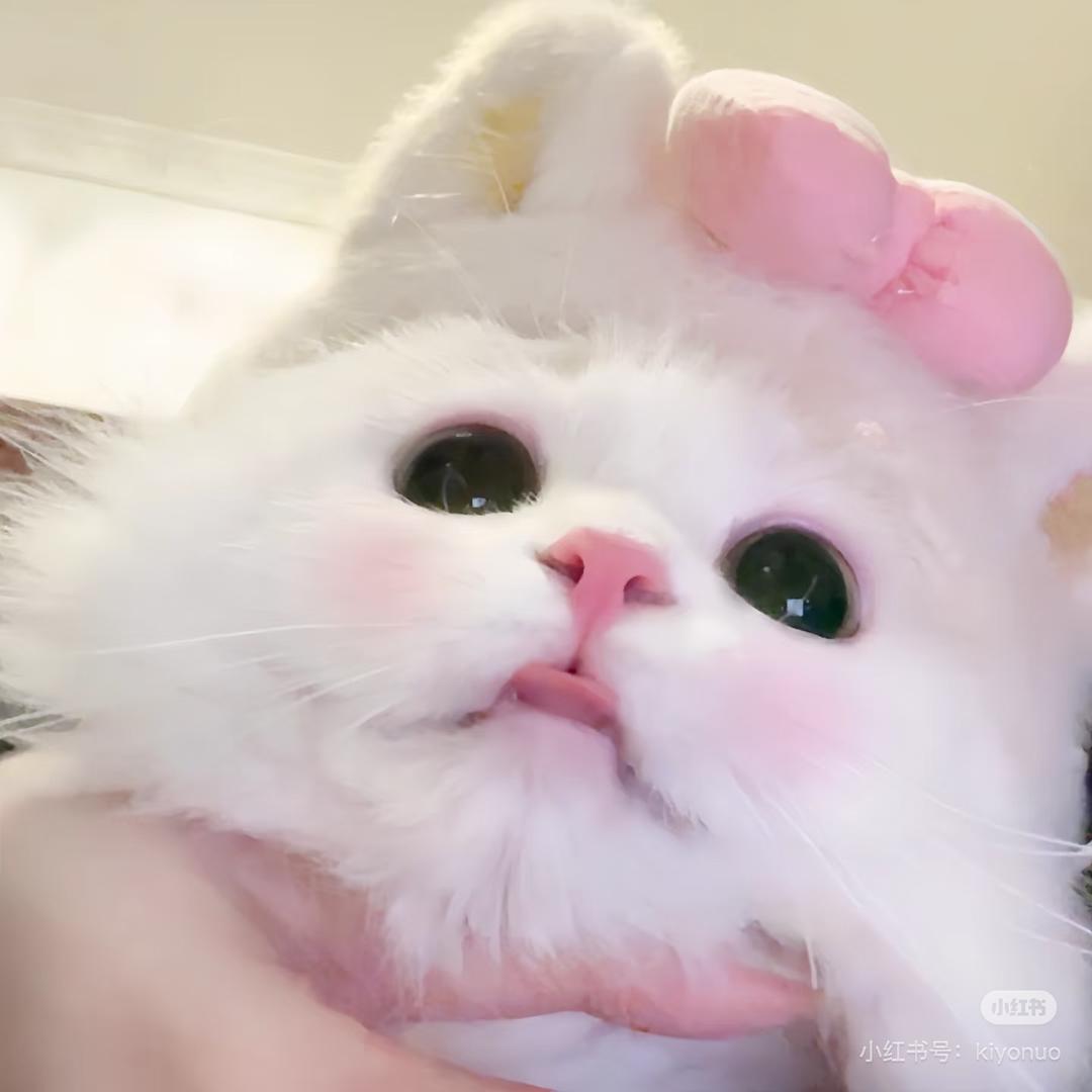 明天见/