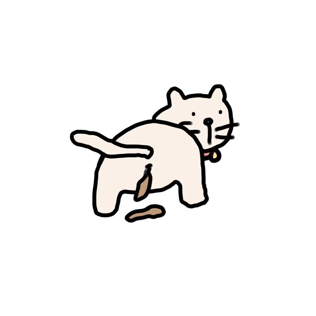 kittyliio Oᴗoಣ