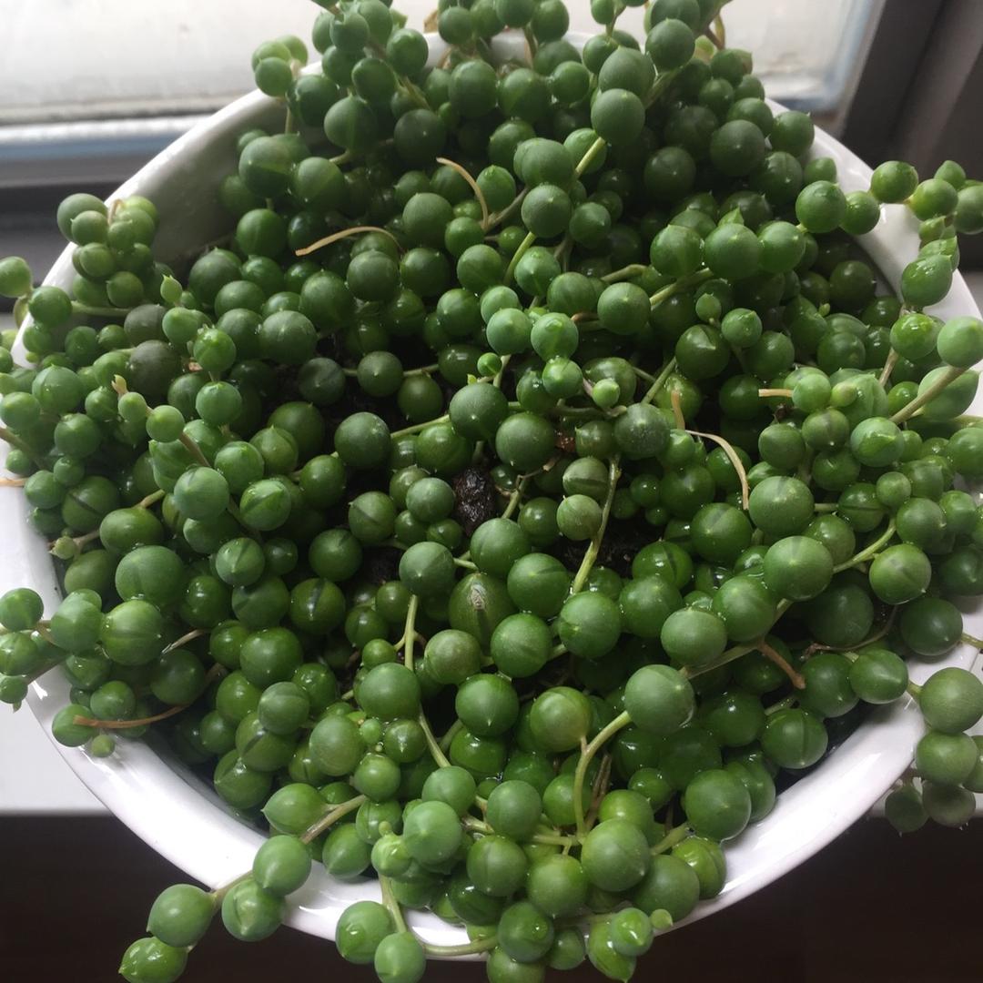 越剧宏达私房菜［连续点贊、请勿过三］