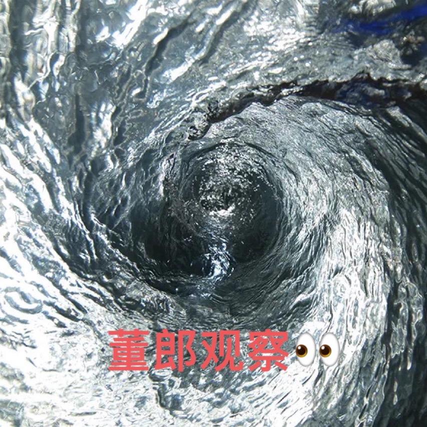 董郎行观察