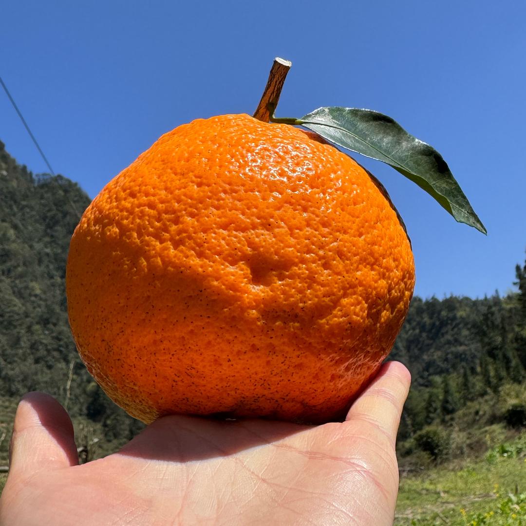 W•🍊