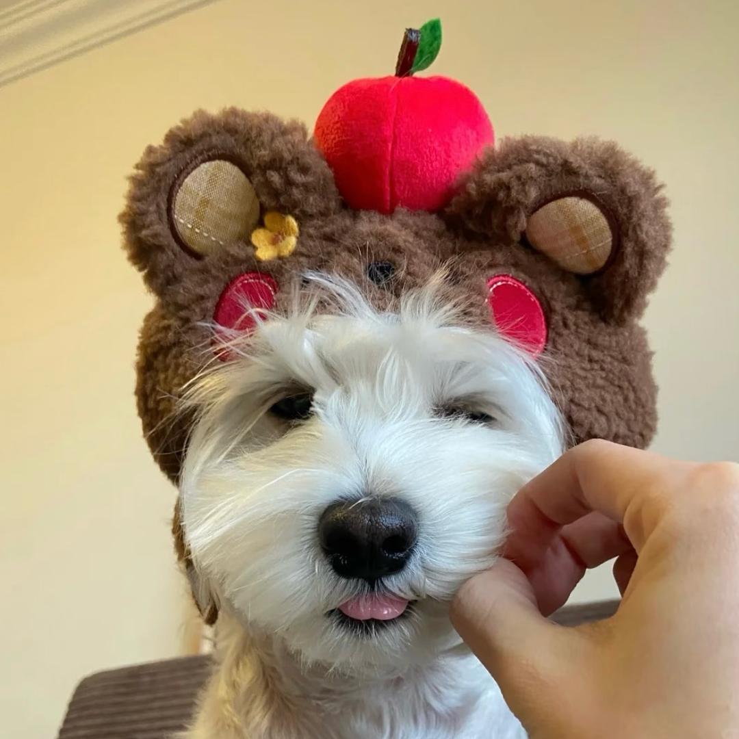 Jolly.