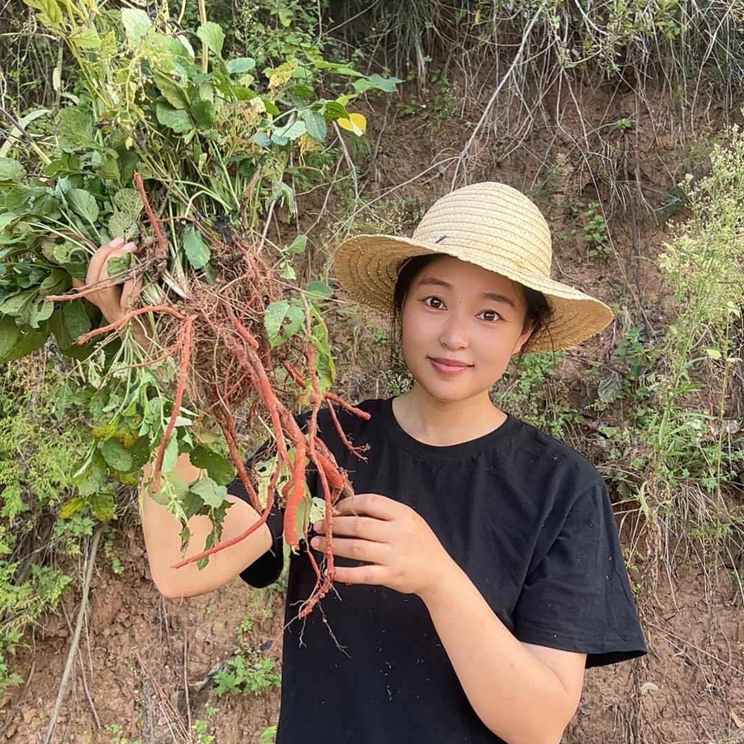 小薇说本草