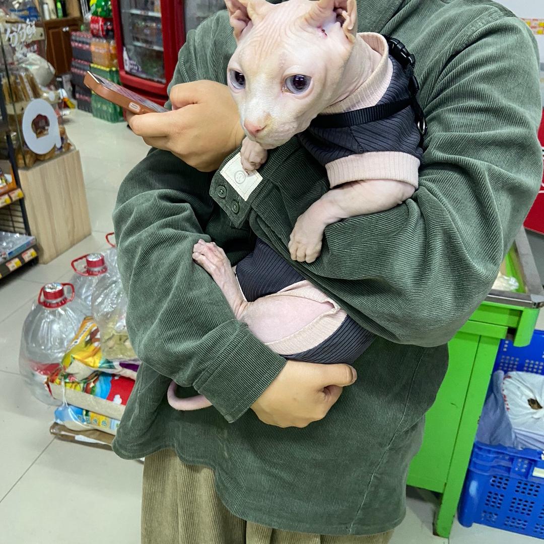 小红