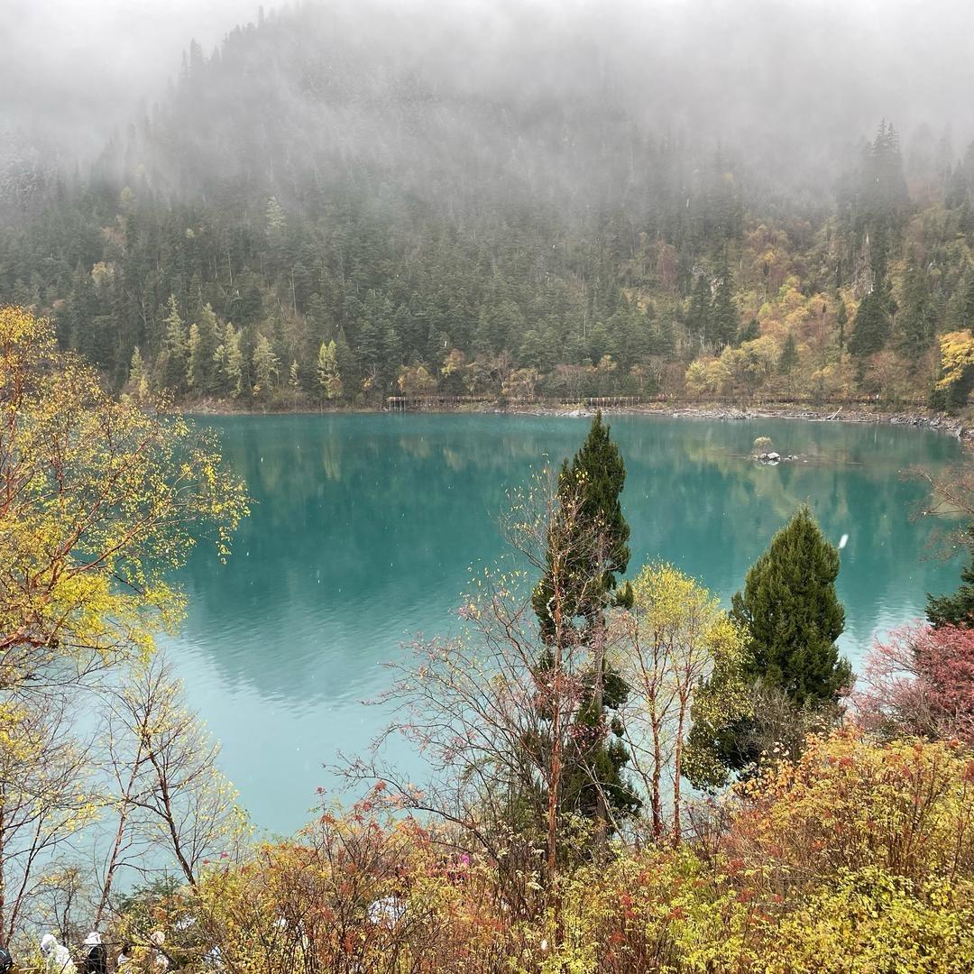 红参～舟晚梦星辰