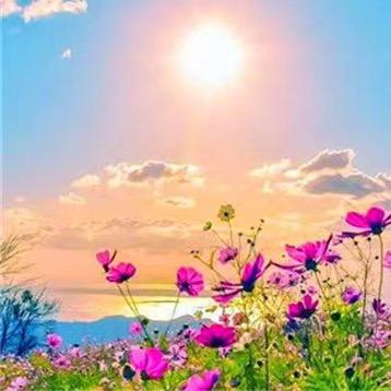 国内外水果代购代销