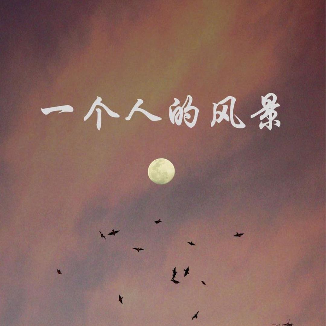 独自漫步的猫