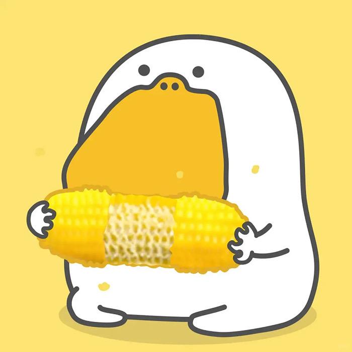 ❤︎卷卷不卷❤︎