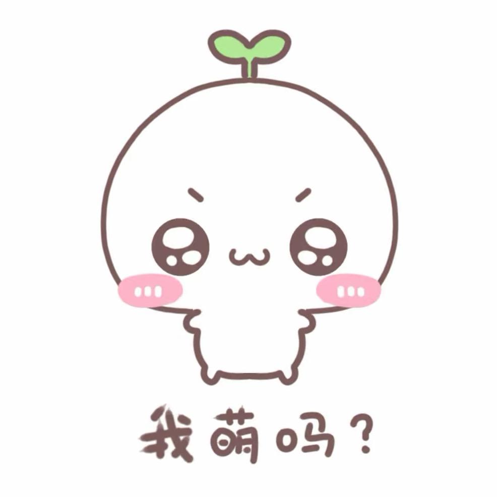 我的世界无解