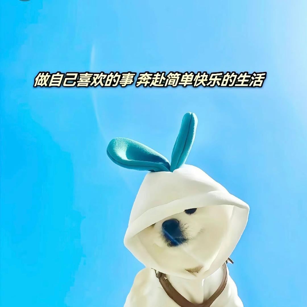 天是纯蓝的