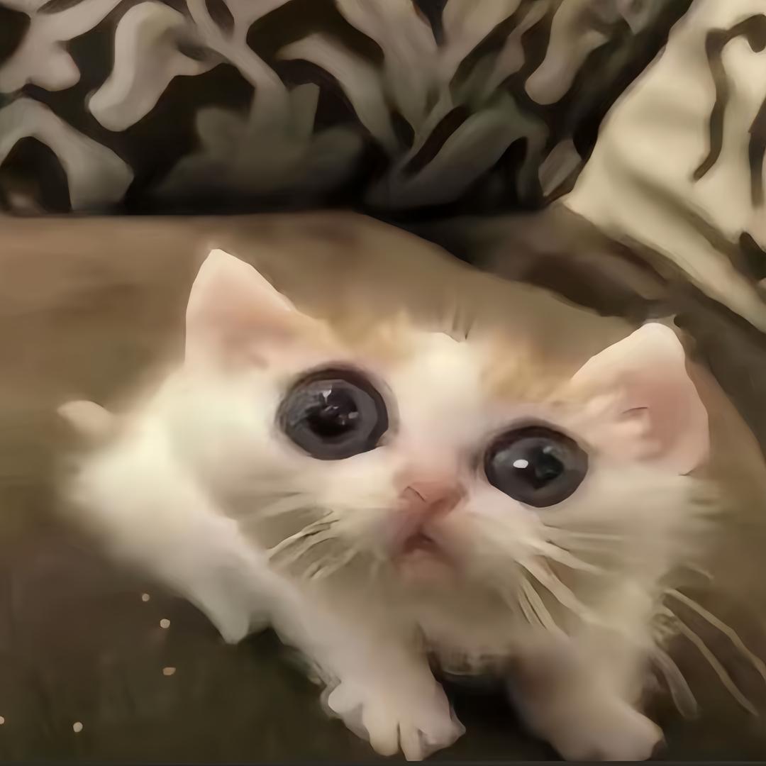 在角落