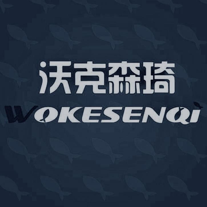 沃克森琦钓联严选店