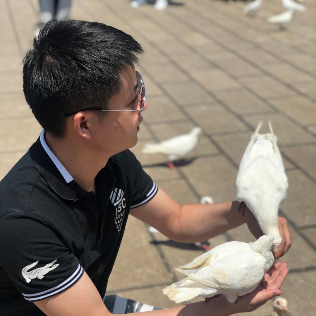 不做了