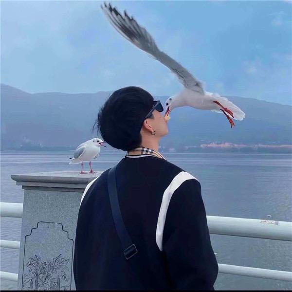 ………………