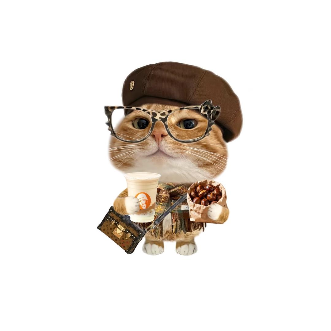 kitty（见过张凌赫版）