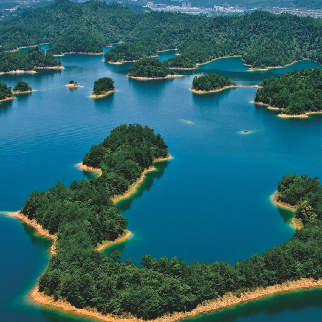 高山果园子