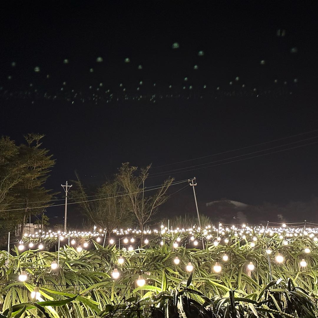 流星看路🌠