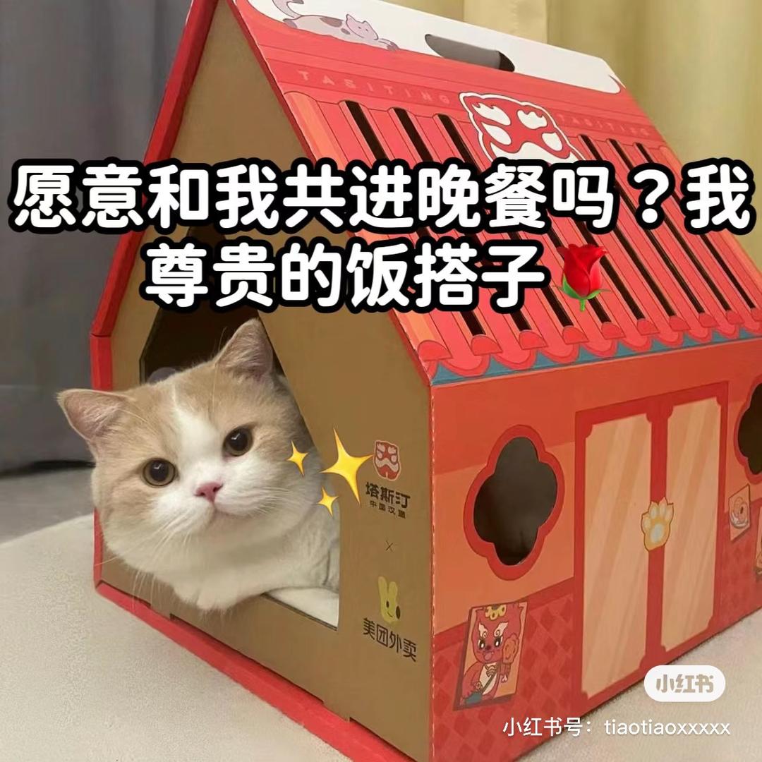 骑猪的小辉辉