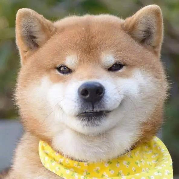 炮