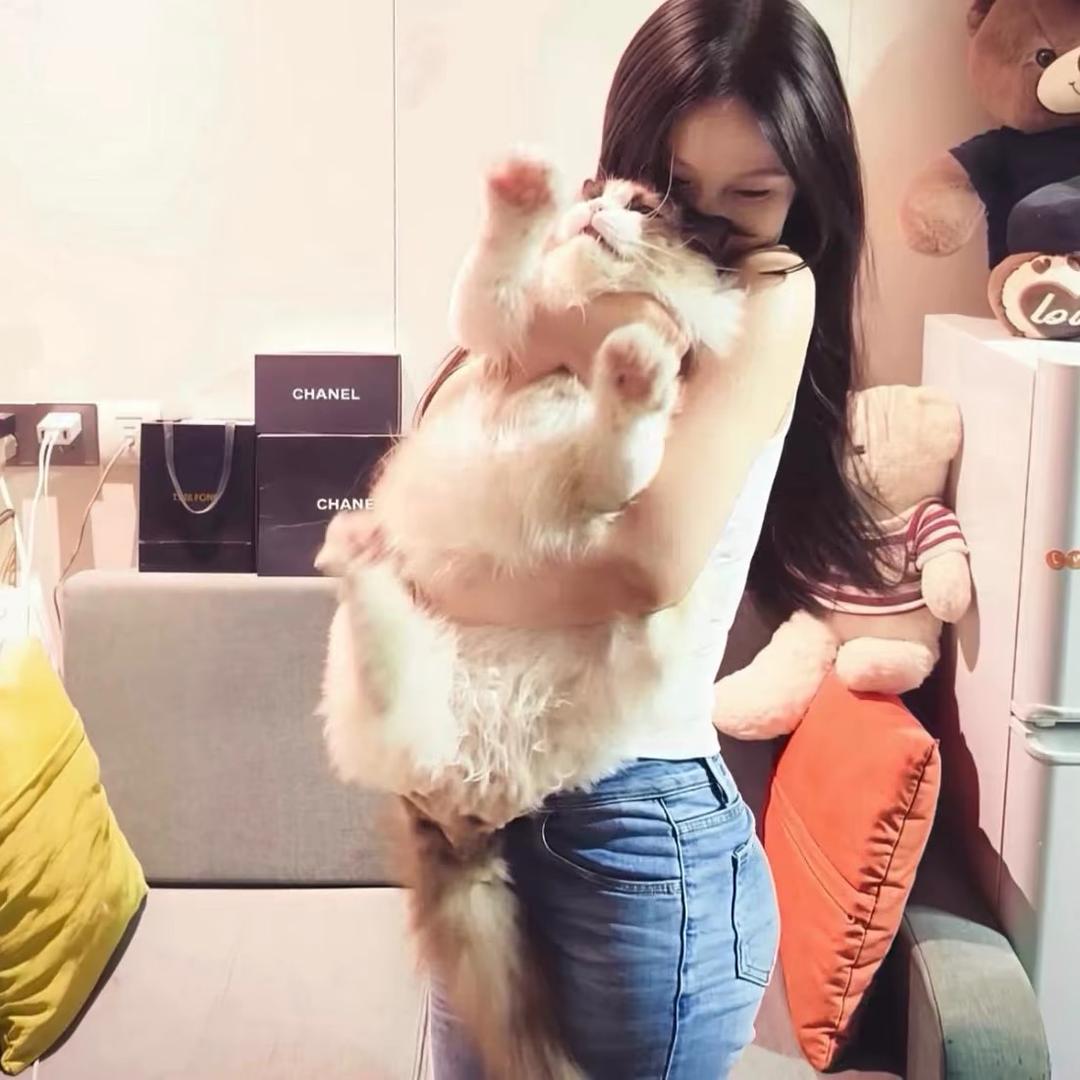 -比奥利奥还傲的美女